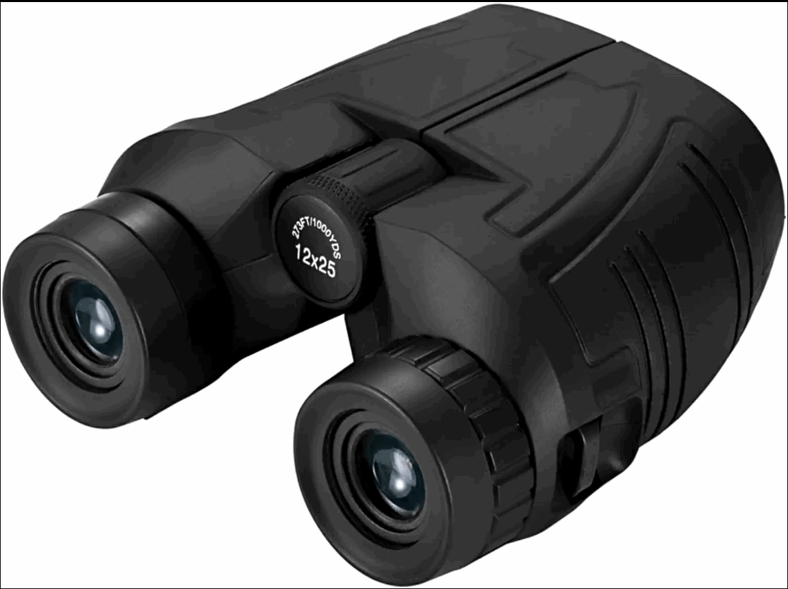 LeTianPai 12x25 Compact Binoculars with Clear Low Light Vision, Large Eyepiece Waterproof Binoculars for Adults Kids,High Power Easy Focus Binoculars for Bird Watching,Outdoor Hunting,Travel,Sightseeing Letianpai