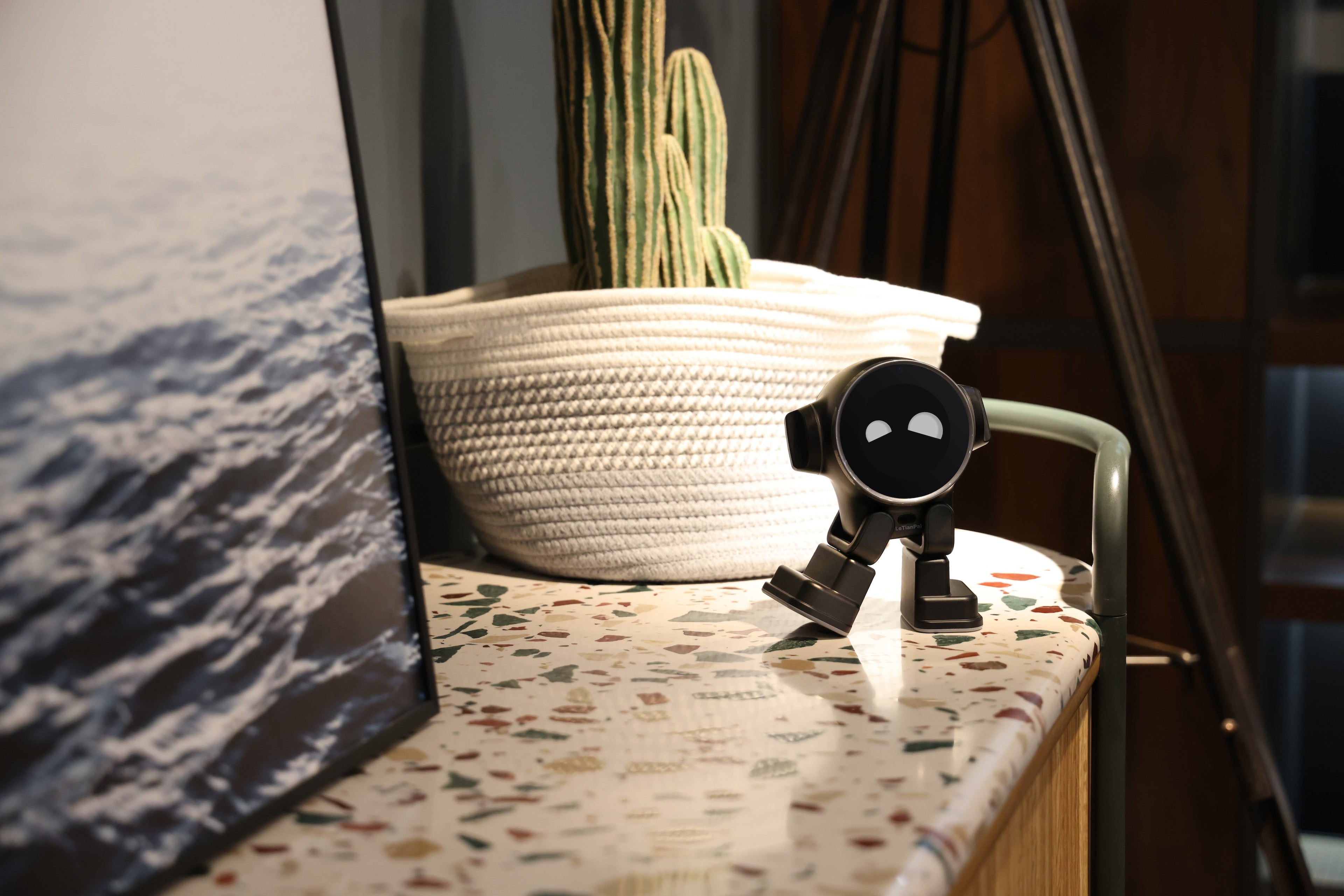 Letianpai_Robot_Rux_Robot_Global