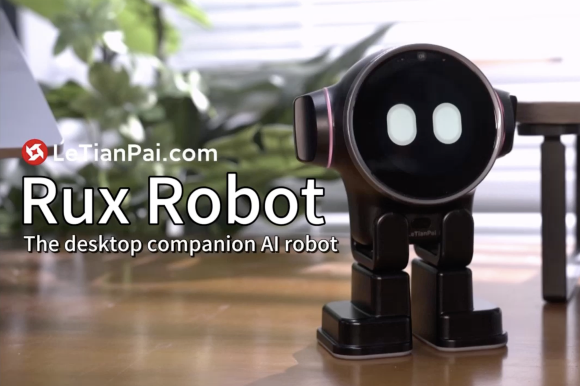 Load video: Letianpai official website, Rux Robot introduce.